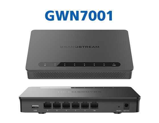 IP&Go - 100% VoIP - Routeur RPV/VPN - Grandstream GWN7001